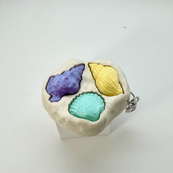 Seashell Collection Fidget Clicker 3D Print