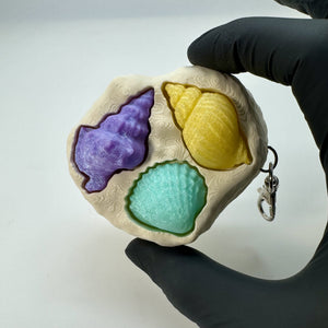 Seashell Collection Fidget Clicker 3D Print