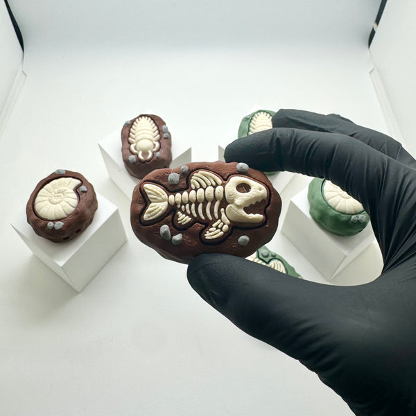 Fossil Fidget Clicker 3D Print