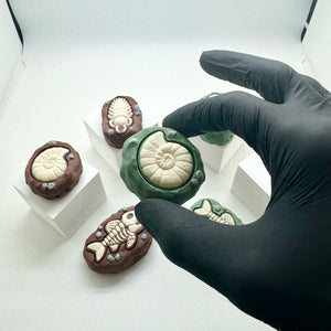 Fossil Fidget Clicker 3D Print