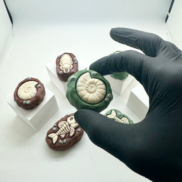 Fossil Fidget Clicker 3D Print