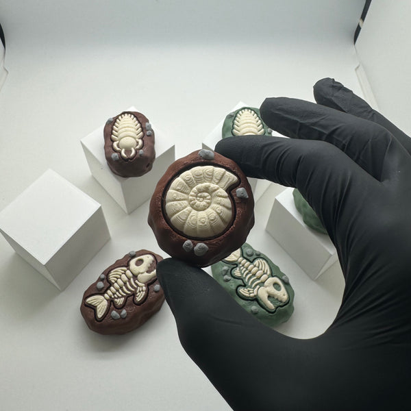 Fossil Fidget Clicker 3D Print