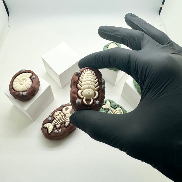 Fossil Fidget Clicker 3D Print