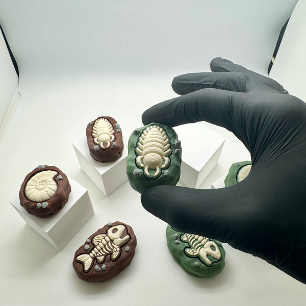Fossil Fidget Clicker 3D Print