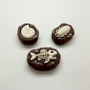 Fossil Fidget Clicker 3D Print