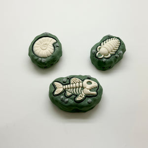 Fossil Fidget Clicker 3D Print