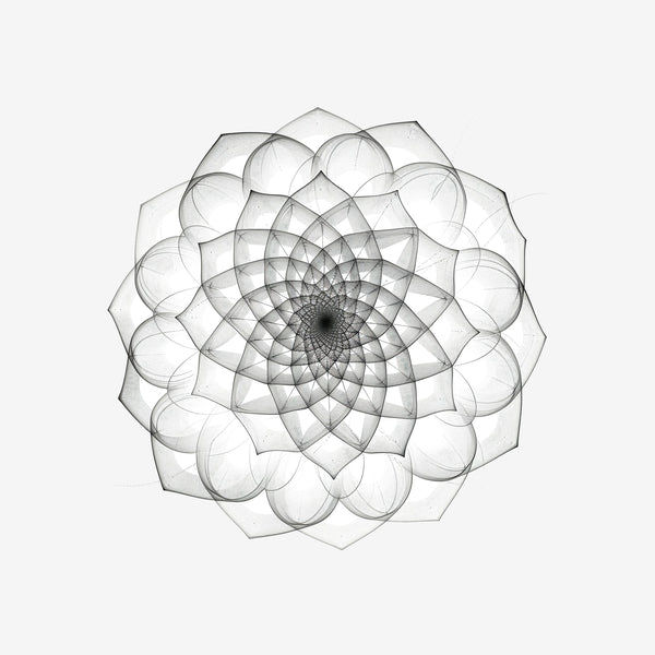 Fibonacci Spiral 12 Sticker