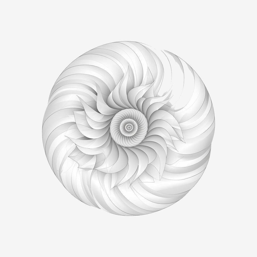 Fibonacci Spiral 5 Sticker
