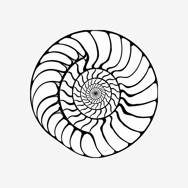 Fibonacci Spiral 6 Sticker