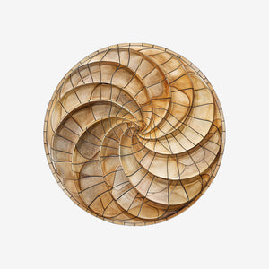 Fibonacci Spiral 8 Sticker