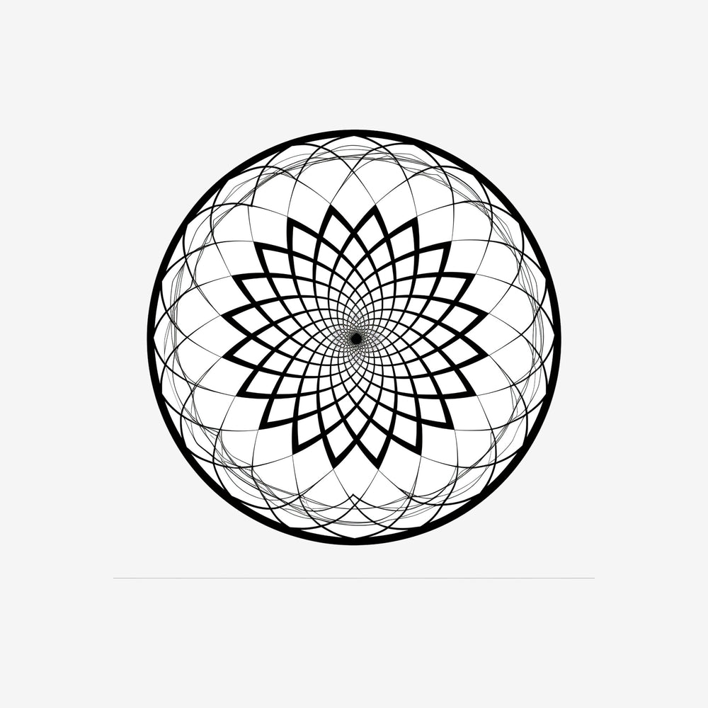 Torus 13 Sticker