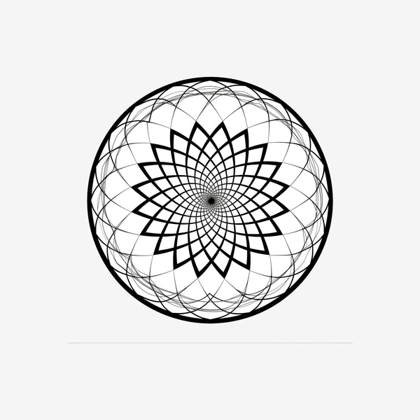 Torus 13 Sticker