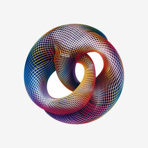 Torus 8 Sticker