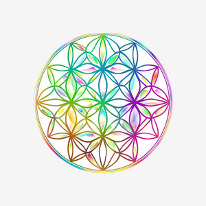 Flower Of Life 11 Sticker