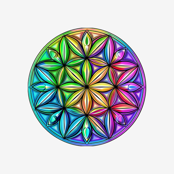 Flower Of Life 19 Sticker