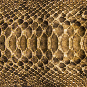 Animal Print Patterns Mix 3 Vinyl Pattern
