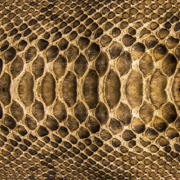 Animal Print Patterns Mix 3 Vinyl Pattern