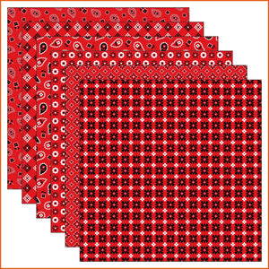 Red Bandana Vinyl Pattern