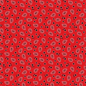 Red Bandana Vinyl Pattern