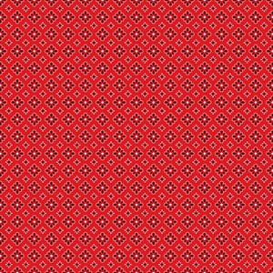Red Bandana Vinyl Pattern