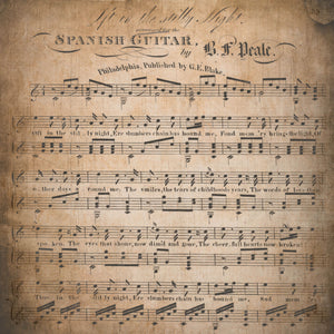 Music Patterns 1 Vinyl Pattern