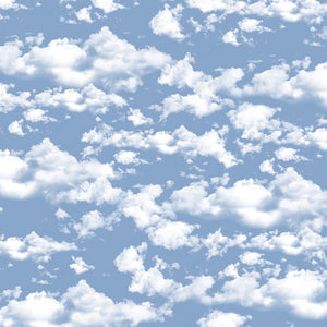 Clouds Vinyl Pattern