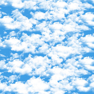 Clouds Vinyl Pattern