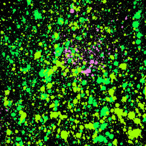 Neon Paint Splatters Vinyl Pattern