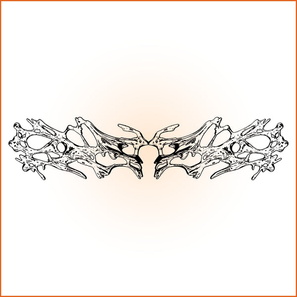Bare Sigil Sticker