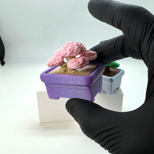 Bonsai Tree Fidget Clicker 3D Print